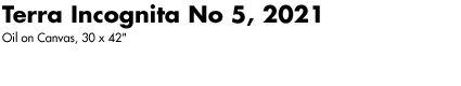 Terra Incognita No 5, 2021