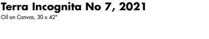 Terra Incognita No 7, 2021