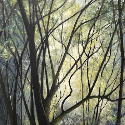 Forest Light, 2021